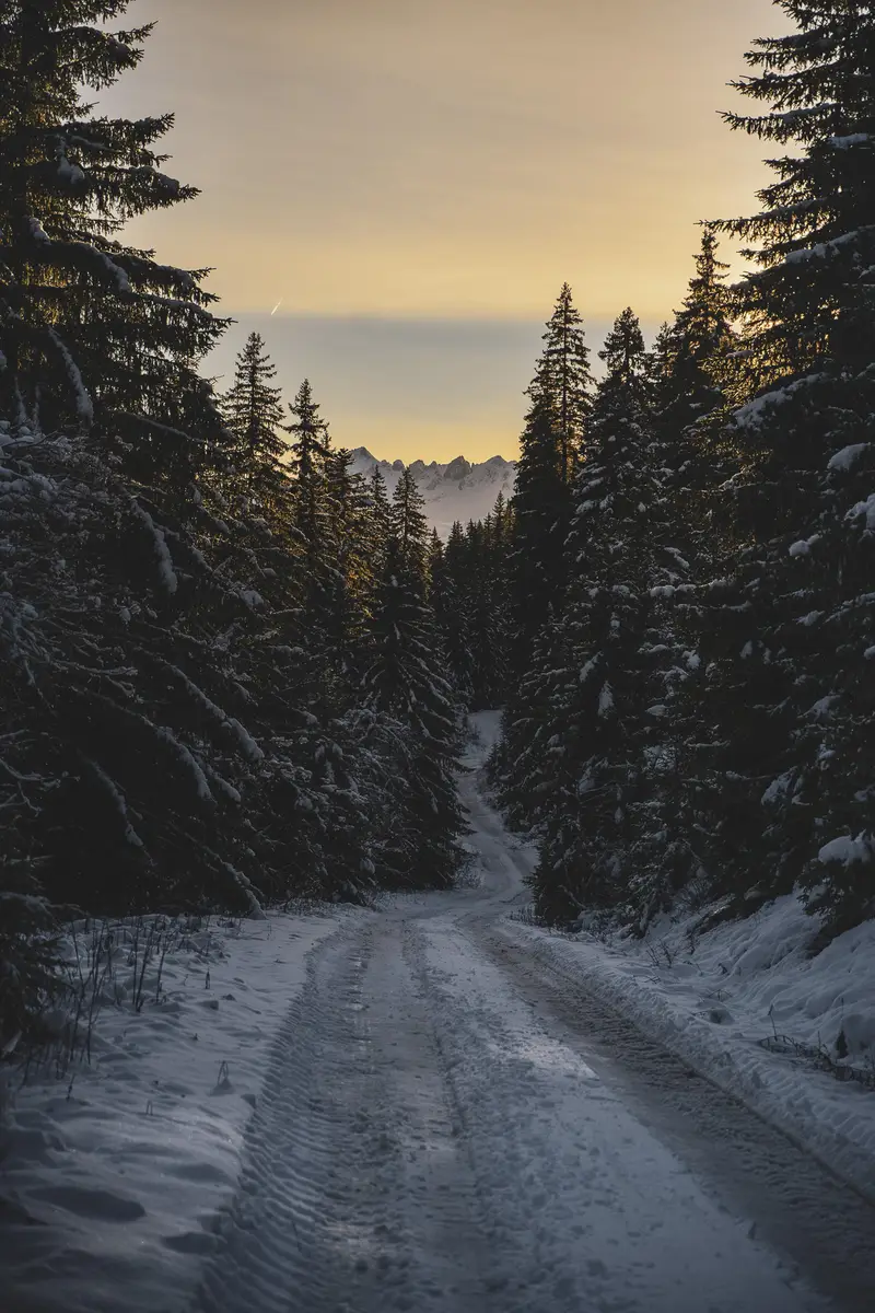 Maxime Bouclier Photographie | 