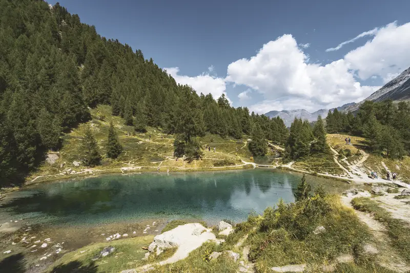 Maxime Bouclier Photographie | Randonnée, trail
