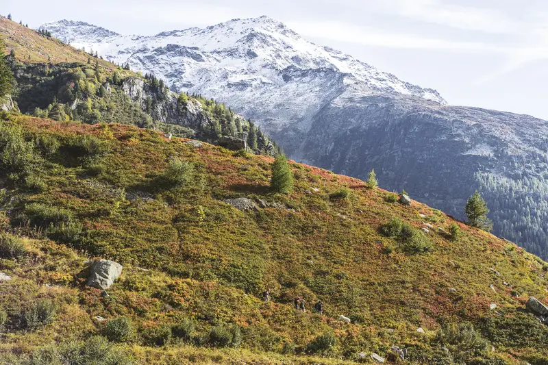 Maxime Bouclier Photographie | Randonnée, trail